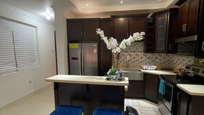 Deluxe Apartment | Private kitchen - Immaculate- Liguanea 1br (Kingston)
