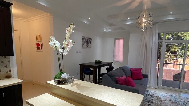 Deluxe Apartment | Living area - Immaculate- Liguanea 1br (Kingston)