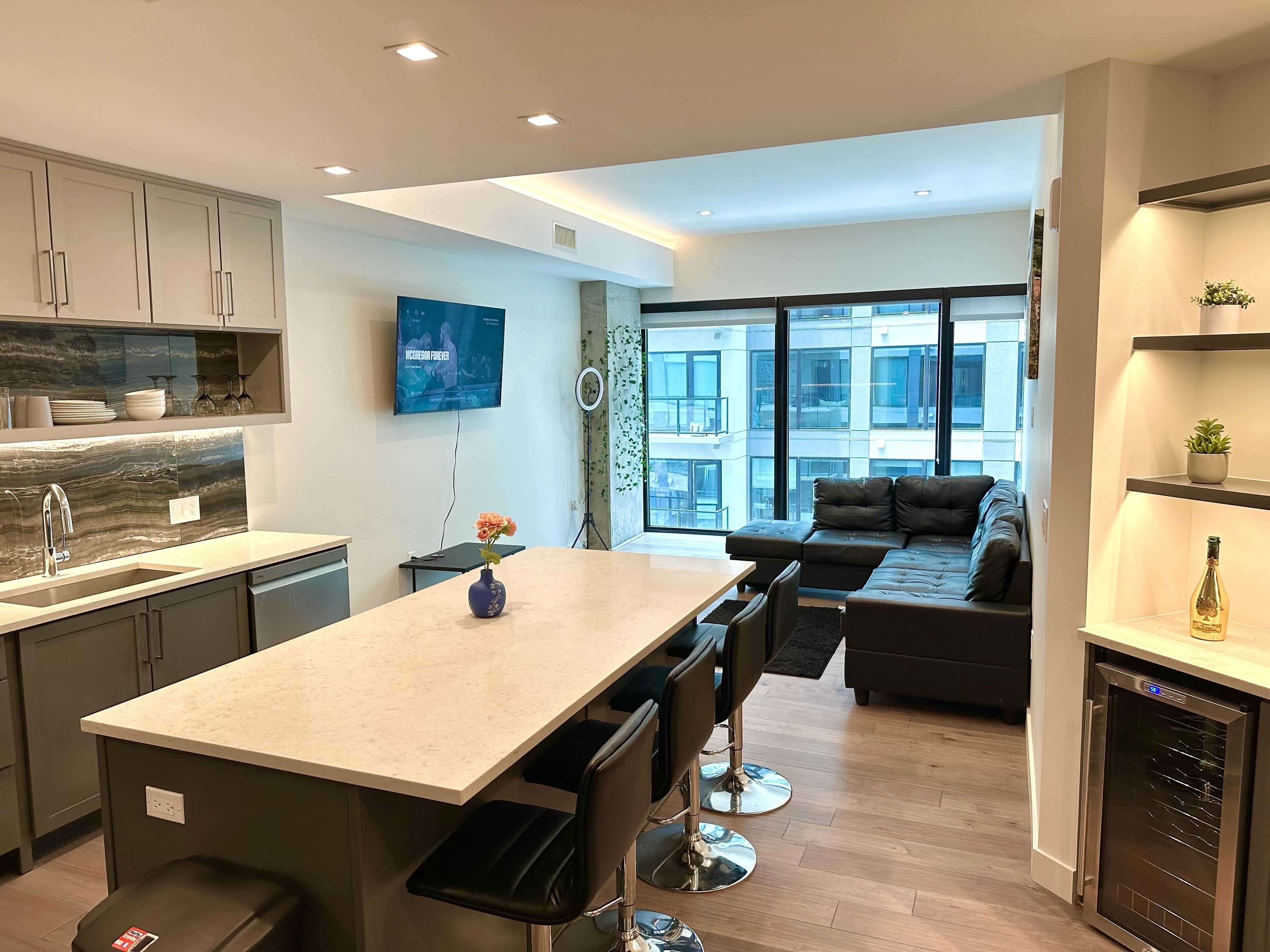 Downtown Dallas Skyline Penthouse