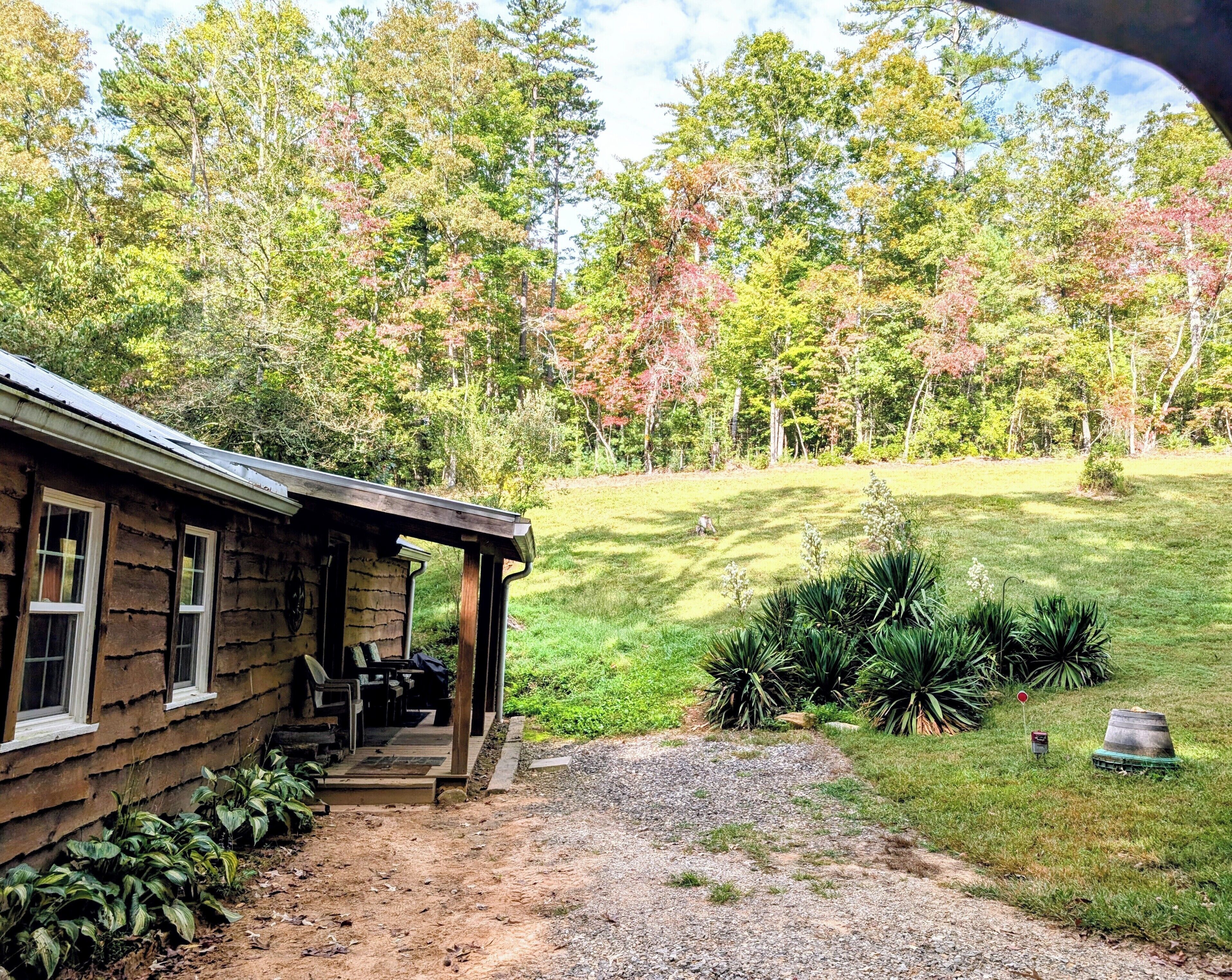 A rustic cabin with a porch, surrounded by a well-maintained lawn and dense trees.