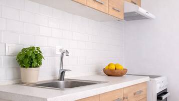 Fridge, oven, stovetop, electric kettle