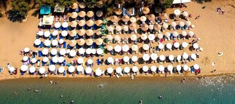 Grand Seaview Retreat - walk to the beach