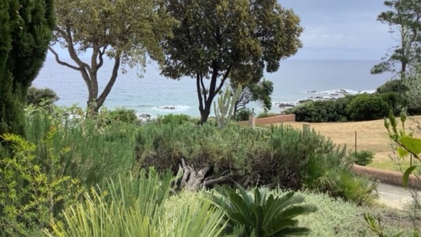 A coastal landscape with trees and shrubs, a path, and the ocean in the background. - Pieds dans l'eau Secret Creek (Conca)
