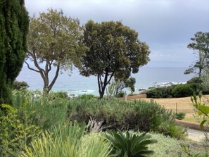 Paisagem costeira com árvores, arbustos, um caminho e o oceano ao fundo.