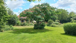 A lush garden with a house, a well-maintained lawn, and a variety of trees and shrubs.