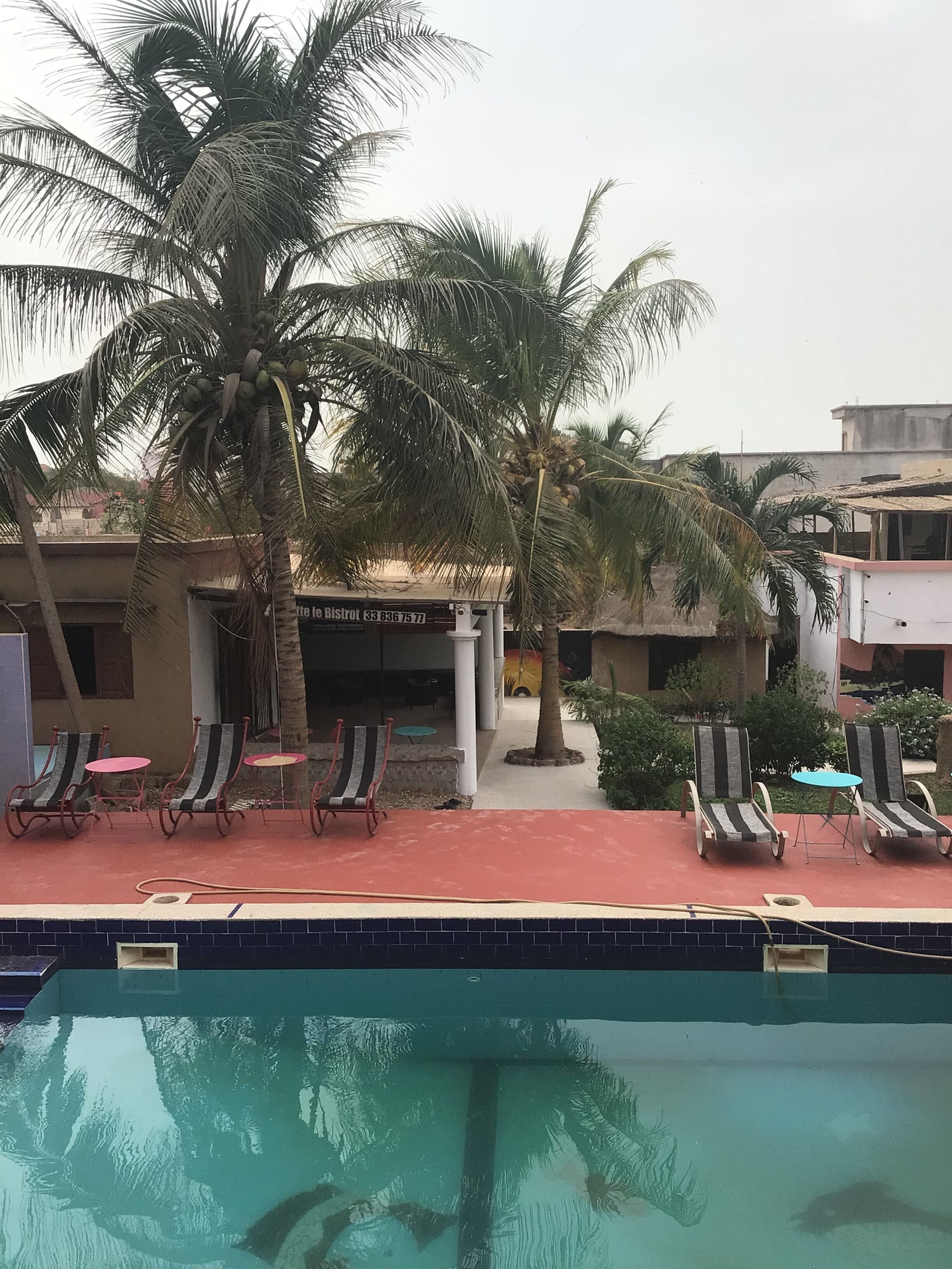 Zona junto a la piscina con sillones de descanso y una palmera.