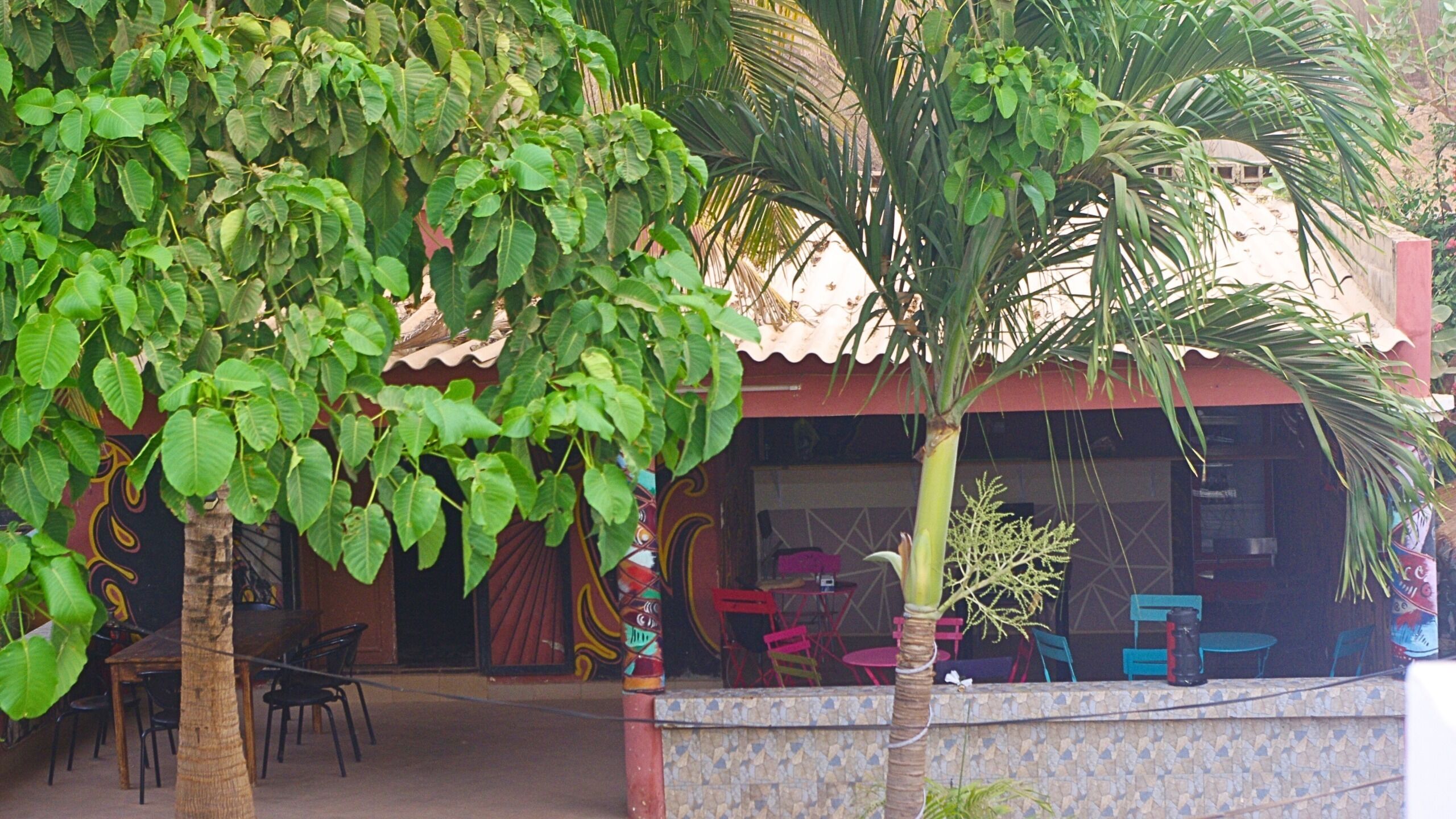 An outdoor seating area with tables and chairs, surrounded by lush greenery and a palm tree.