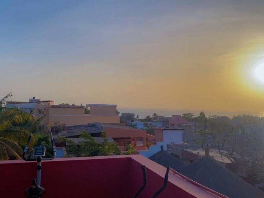 A residential area with buildings, a red wall, and a palm tree.