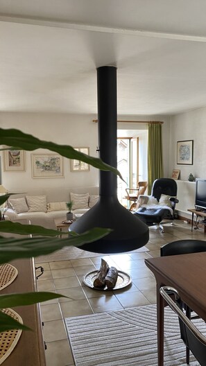 Télévision, cheminée, livres