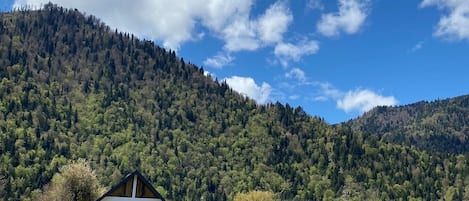 Terrain de l’hébergement