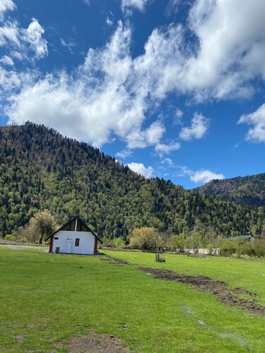 Cozy Hills in Borjomi