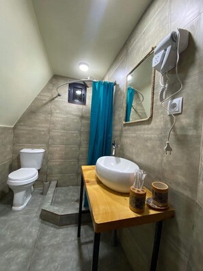 Shower, jetted bath, hair dryer, towels