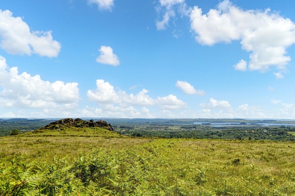 area