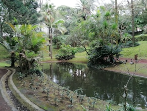 Área da propriedade