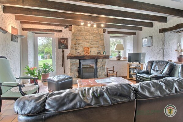 Televisión y libros 