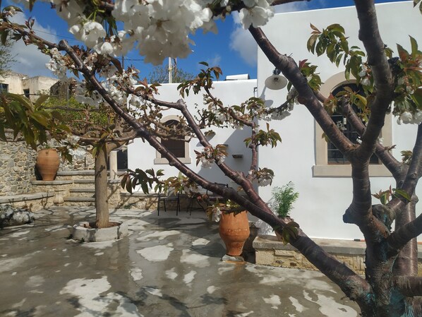 Property grounds - Rustic Cretan House. Karidi Sitia Highlands (Karidi)