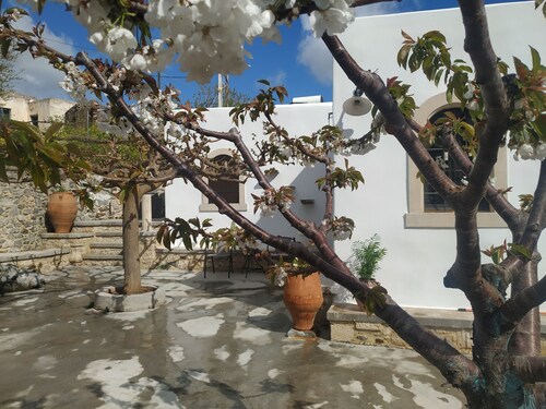 Rustic Cretan House. Karidi Sitia Highlands