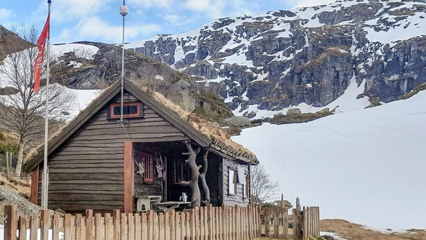 Eksteriør