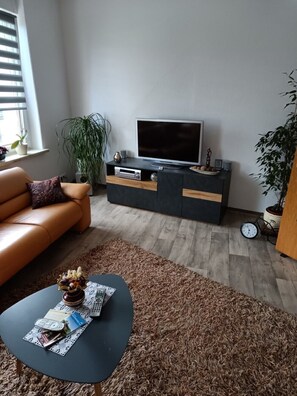 TV, books, stereo - Am Saaleradweg (Calbe (Saale))
