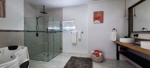 Shower, jetted bath, hair dryer, towels