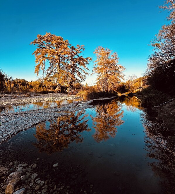 Une rivière paisible où se reflètent les arbres et où le ciel bleu est d’une clarté saisissante.