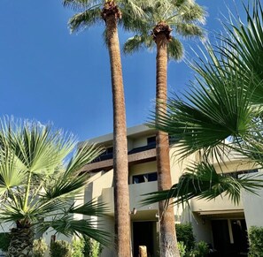 Un bâtiment avec deux grands palmiers devant, un ciel bleu dégagé et une façade beige.