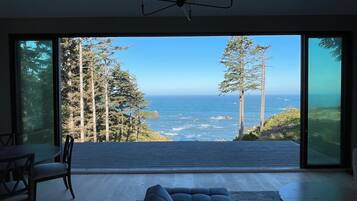 Smart TV, fireplace, video games, books