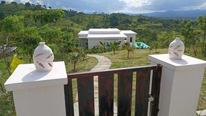 Una casa moderna con fachada blanca, rodeada de vegetación exuberante y un sendero serpenteante que lleva a una piscina.