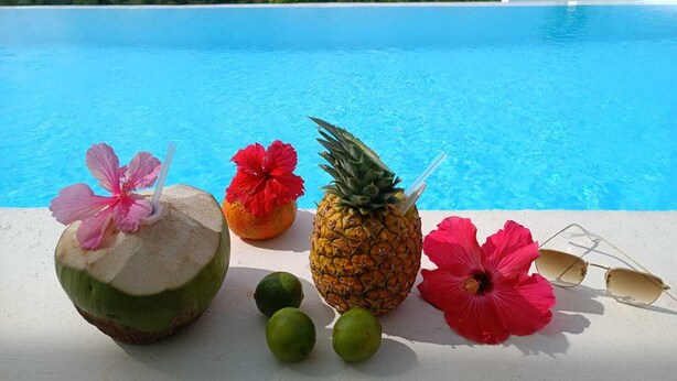 Vista de la piscina con un arreglo tropical de cocos, piña, limas y flores de hibisco.