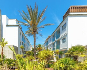 Ein Hotelinnenhof mit einer Palme, umgeben von viel Grün und weißen Gebäuden mit Balkonen.