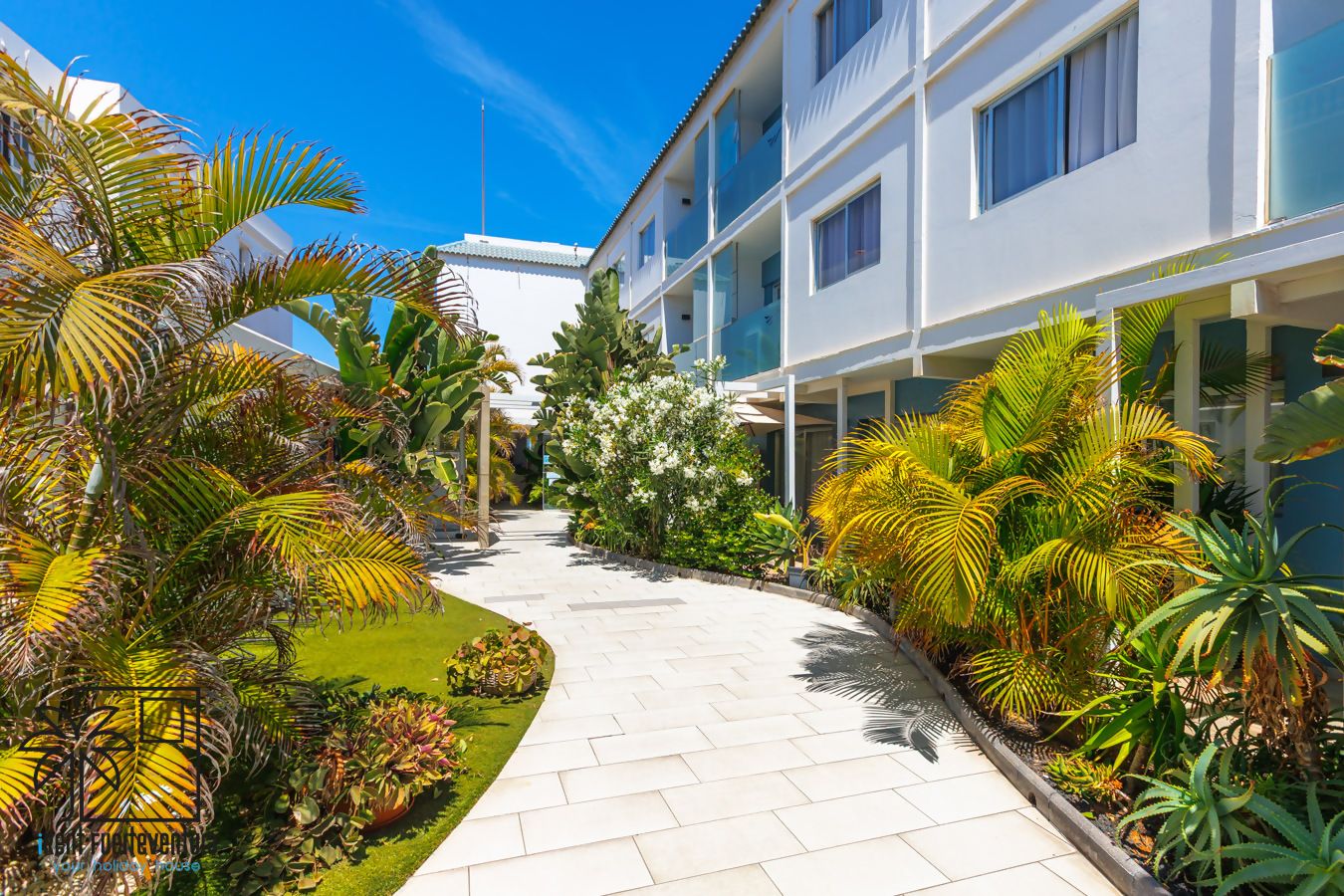 Un chemin mène à un bâtiment moderne doté de nombreux balcons, entouré d’une végétation tropicale luxuriante et surplombé d’un ciel bleu azur.