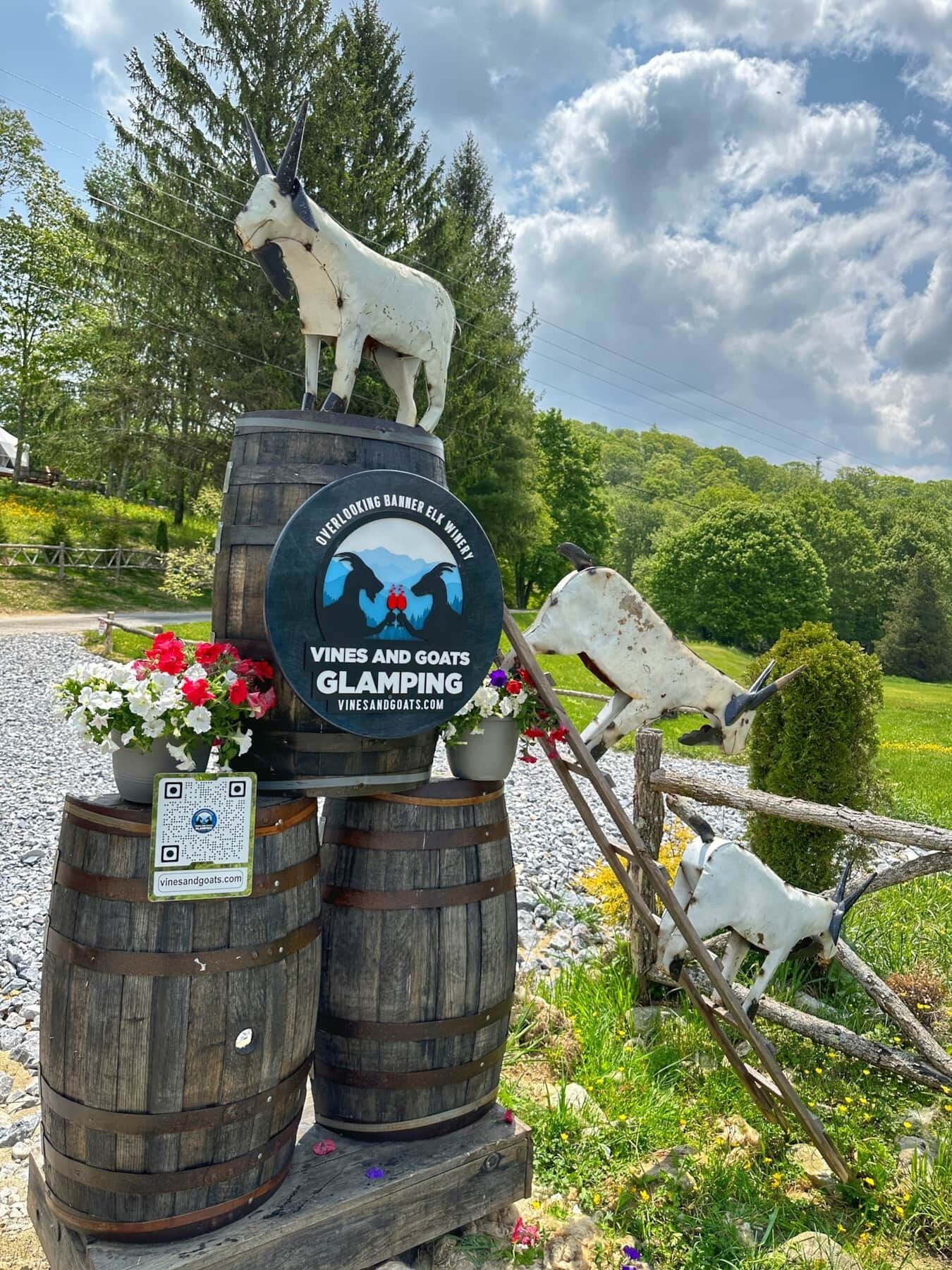 A rustic outdoor setting with wooden barrels, a white goat sculpture, and a sign for Overlooking Banner Elk Winery.