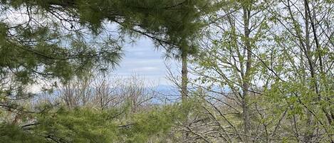 Vue depuis l’hébergement