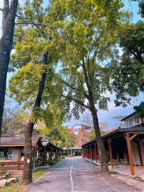 Une allée couverte bordée d’arbres, avec des structures en bois et un bâtiment en arrière-plan.