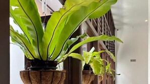 A hallway with a window, a potted plant, and a small table with an iron. - The Magazine Boutique Hotel (George Town)