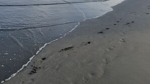 Solsenger og strandhåndklær