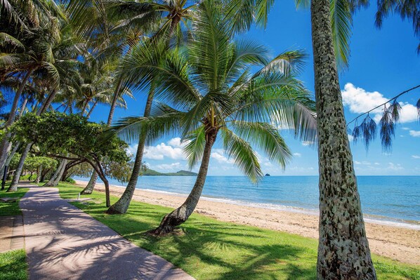 Stroll along the serene beachside pathway lined with palm trees, leading to a tranquil beach and calm sea.