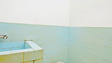Kamar Double | Kamar mandi | Shower, handuk, dan tisu toilet