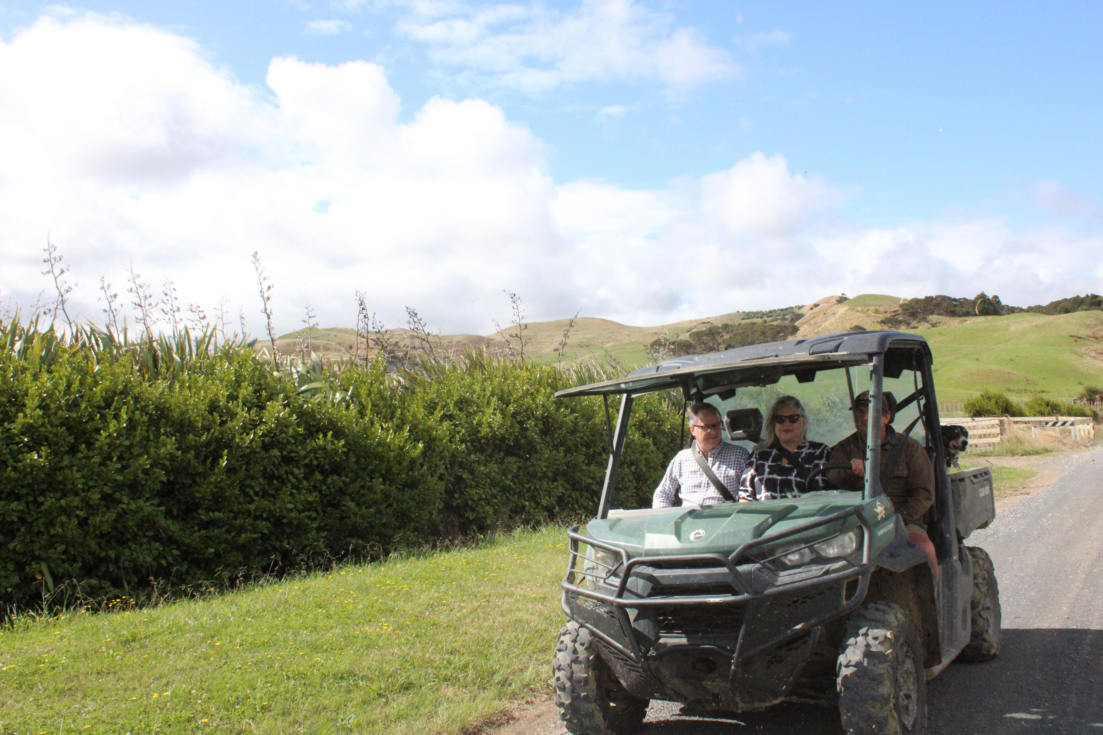 A green golf cart on a rural road with a hilly landscape in the background.