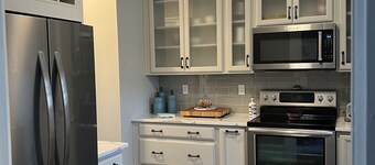 Historic Downtown Owosso Condo