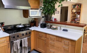 Compact kitchen with a microwave, stove, and blender, featuring a potted plant and bookshelf.