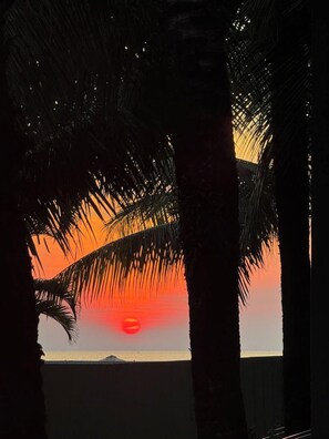 A sunset view through palm tree silhouettes. - Coastal Village PQ (Phu Quoc)