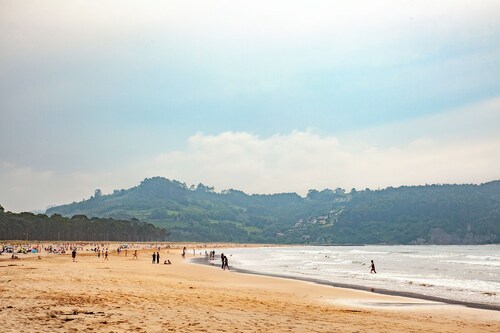 Cozy cottage besides a stream and a river