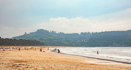Cozy cottage besides a stream and a river