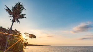 A beach with palm trees and a sunset over the ocean.