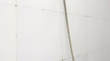 Economy Double Room | Bathroom | Shower, rainfall showerhead, free toiletries, toilet paper