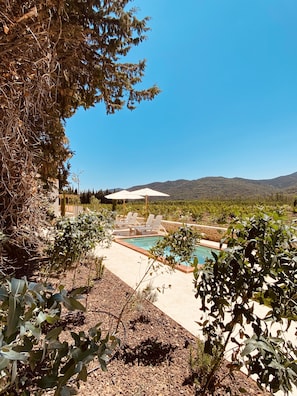 Outdoor pool - Mas Typique au Milieu des Vergers (Bouleternère)