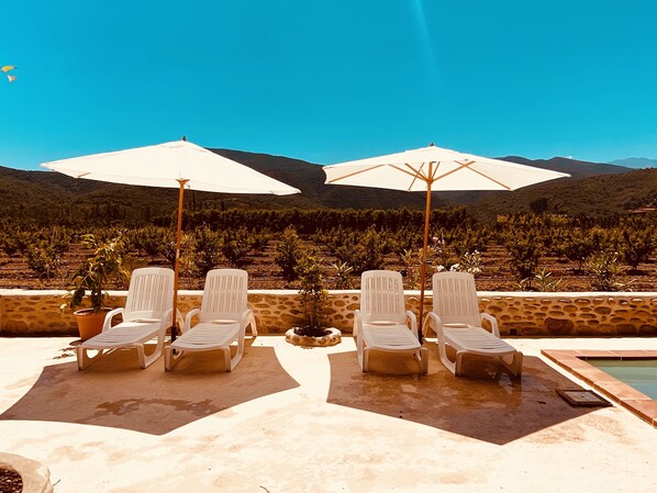 Terrace/patio - Mas Typique au Milieu des Vergers (Bouleternère)