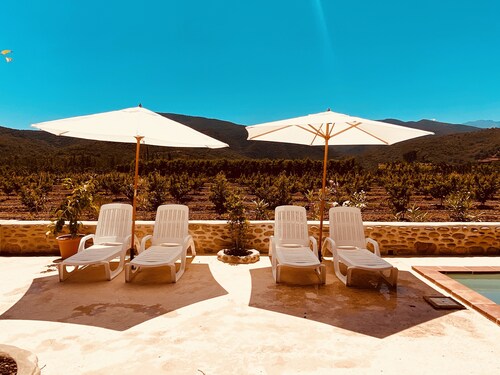 Mas Typique au Milieu des Vergers