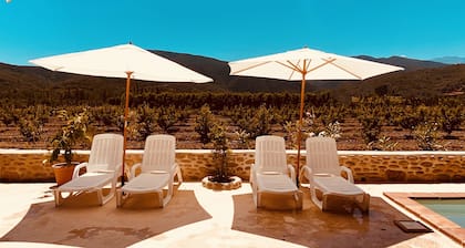 Mas Typique au Milieu des Vergers